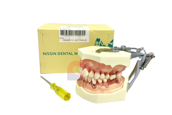 Nissin Study Model Archives - New Citizens Dental Supply and General ...